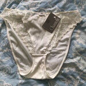 NWT Chantelle xl shape brief